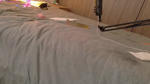 Your Ocean baby 3 online show from 02-11-25, 01:09