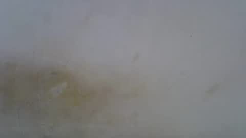 Snapshot of oceanwavves chatting on 05-01-26, 06:23 Paloma online show from 05-01-26, 06:23