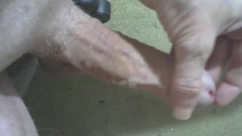 odentonman4fun online show from 06-20-26, 04:04