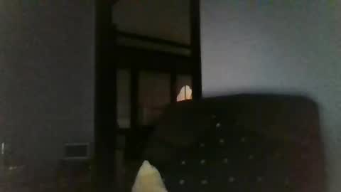 Officer online show from 12-26-24, 07:45