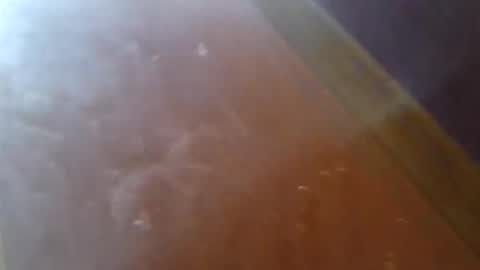 oitxmnnevrcz online show from 04-03-26, 09:29