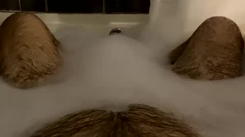 oldbones2 online show from 02-16-25, 02:20