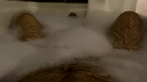 oldbones2 online show from 02-17-25, 01:36