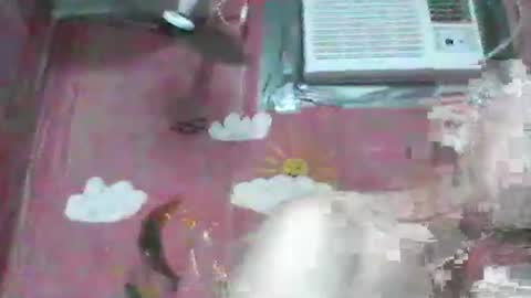 oldbuthorny62 online show from 11-23-25, 06:57