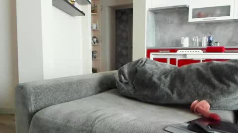 oliviamuur online show from 03-31-26, 07:42