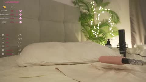 Lily dont forget to follow me  good to see you all online show from 02-22-25, 10:20