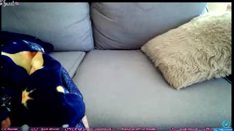 Snapshot of ooh_sweet chatting on 06-27-26, 02:34 OF - Ooh 69sweet SNAP4LIFE OFFLINE 899 normal VIP 1369 outside online show from 06-27-26, 02:34