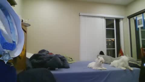 oorah1775 online show from 12-22-24, 05:12