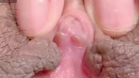 orchidekitty online show from 04-16-26, 08:20