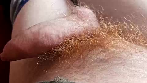 orgazm1212 online show from 04-06-26, 12:28