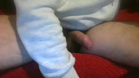 ornytologist online show from 12-07-24, 09:39