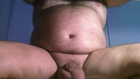 Oso Licencioso online show from 03-31-26, 04:40