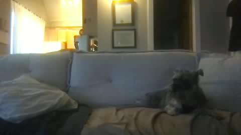 Snapshot of ossignol_xxx chatting on 02-27-25, 01:16 rossignol online show from 02-27-25, 01:16