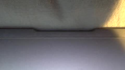 Otto online show from 01-21-25, 04:05