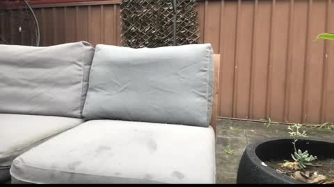 Hrny aussie surfer online show from 09-27-25, 12:59