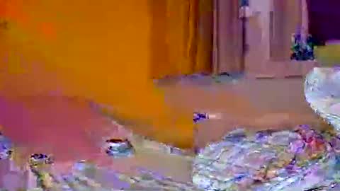 Pachoxx9 online show from 02-01-25, 10:44