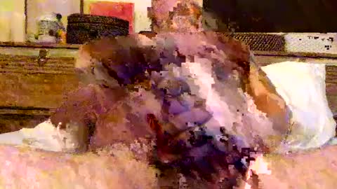 Snapshot of packinthebeef chatting on 06-17-26, 03:24 jack online show from 06-17-26, 03:24