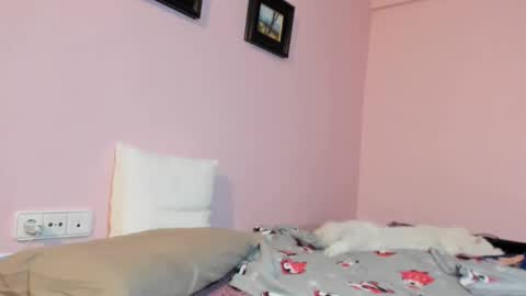 Snapshot of palaustudio chatting on 01-17-25, 08:24 Merce online show from 01-17-25, 08:24