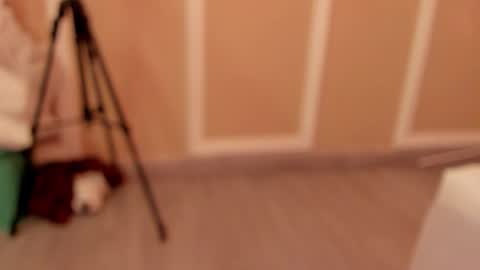 pamelamendez_1 online show from 02-27-26, 04:56