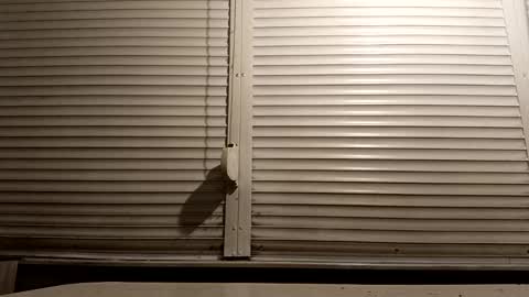 angel hris online show from 01-13-26, 06:46