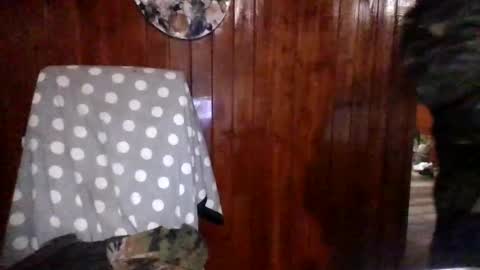 Snapshot of panditernurita12 chatting on 03-14-26, 03:23 panditernurita12 online show from 03-14-26, 03:23