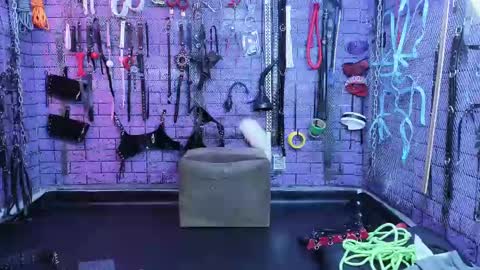 Snapshot of pandoranez chatting on 02-14-25, 11:10 PandoraNez online show from 02-14-25, 11:10