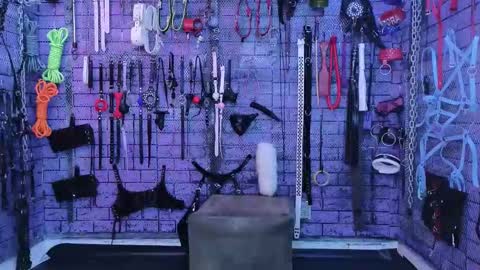 PandoraNez online show from 02-09-26, 02:26