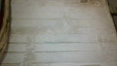 Snapshot of panthers_room chatting on 10-02-25, 08:54 panthers_room online show from 10-02-25, 08:54