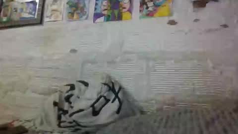 Snapshot of panthers_room chatting on 11-26-25, 08:43 panthers_room online show from 11-26-25, 08:43