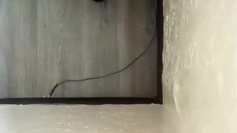 pantieplaytime52532 online show from 12-25-24, 05:16