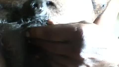 pappi_rambo online show from 07-17-26, 01:29