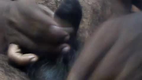 pappi_rambo online show from 07-29-26, 04:27