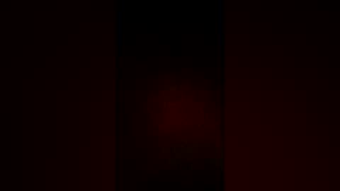 papu2026 online show from 08-08-26, 11:01