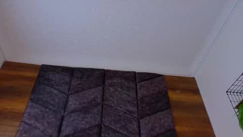 Snapshot of parisfox_ chatting on 02-18-26, 08:16 PARIS online show from 02-18-26, 08:16