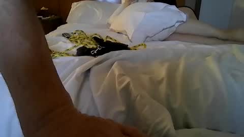 partyplaynfuc online show from 03-13-26, 09:49