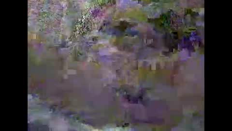 Snapshot of pascalo06 chatting on 02-03-26, 12:32 anytimeuwant online show from 02-03-26, 12:32