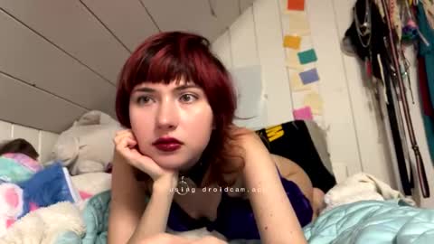 pastlpawz online show from 04-03-26, 10:08