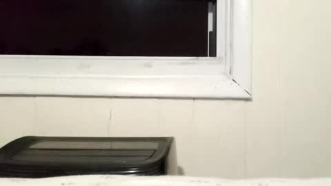 Snapshot of pato0008 chatting on 02-14-26, 10:56 JD online show from 02-14-26, 10:56