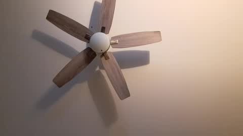 patrick247288 online show from 09-18-25, 04:25