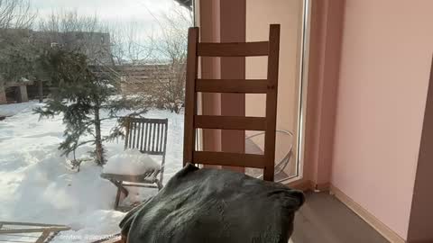 Andreea online show from 02-20-26, 06:37