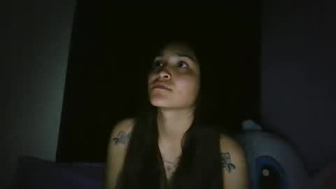 Snapshot of pau_cat chatting on 04-20-26, 05:43 Pau online show from 04-20-26, 05:43