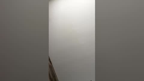 paul856963 online show from 03-09-26, 09:19