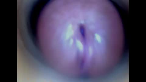 Paula 18 Aninhos online show from 04-05-26, 02:20