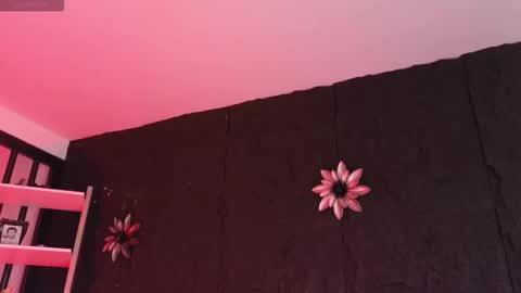 Paulo online show from 02-05-26, 09:08