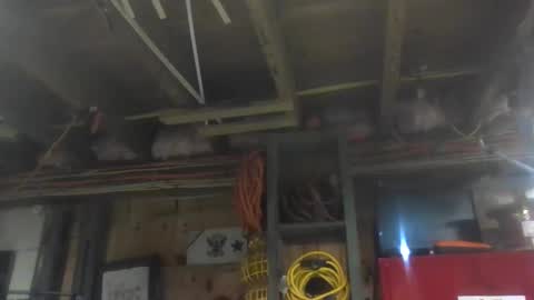 paulstetson online show from 12-20-24, 10:43