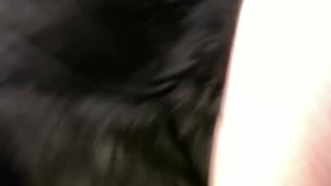 pauly online show from 01-01-25, 11:16