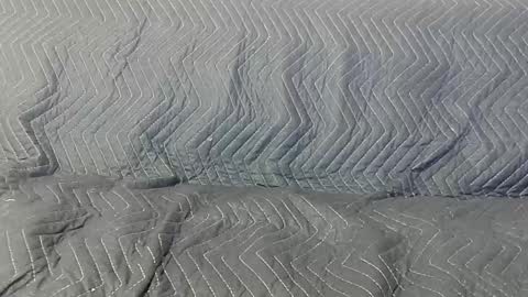 paupam online show from 01-26-25, 07:31