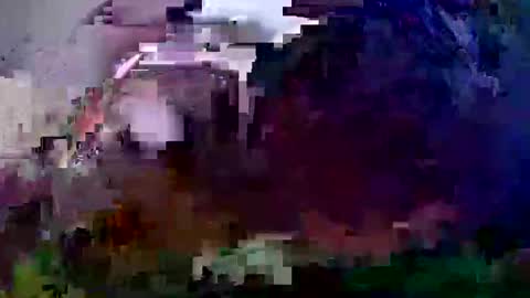 Coco channel  online show from 12-21-24, 10:06