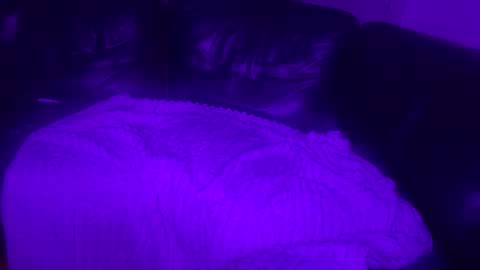 Snapshot of paybarbi chatting on 11-16-25, 07:14 paybarbi online show from 11-16-25, 07:14