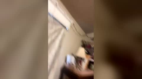 paytenspanties online show from 03-24-26, 12:37